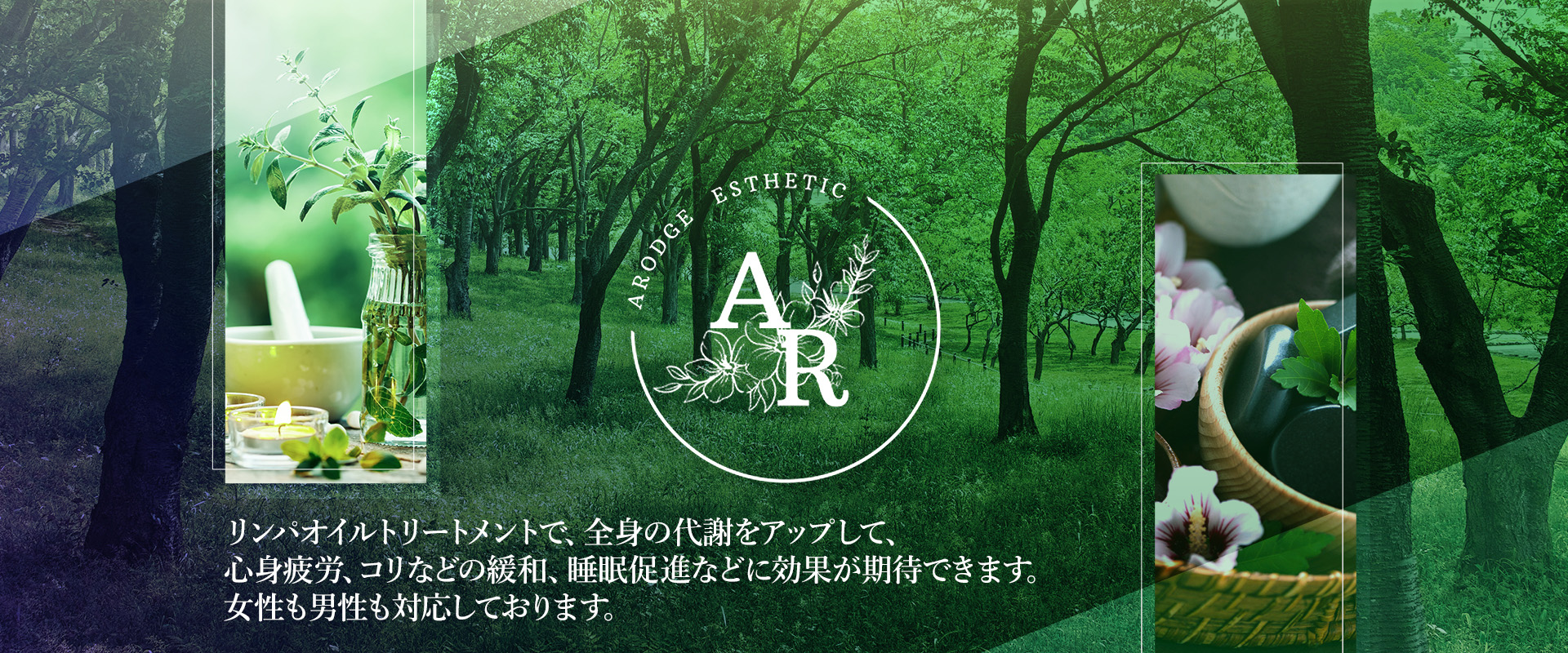 Arodge